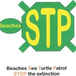 My draft design for a turtle conservation organization. I used the shape of a stop sign to bring attention to stopping their extinction. I also incorporated that into a turtle representation. An Andrew Lerner Graphic Design